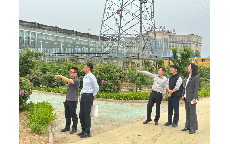 河北證監局監管處領導蒞臨潤農節水開展例行走訪調研，指導公司高質量發展